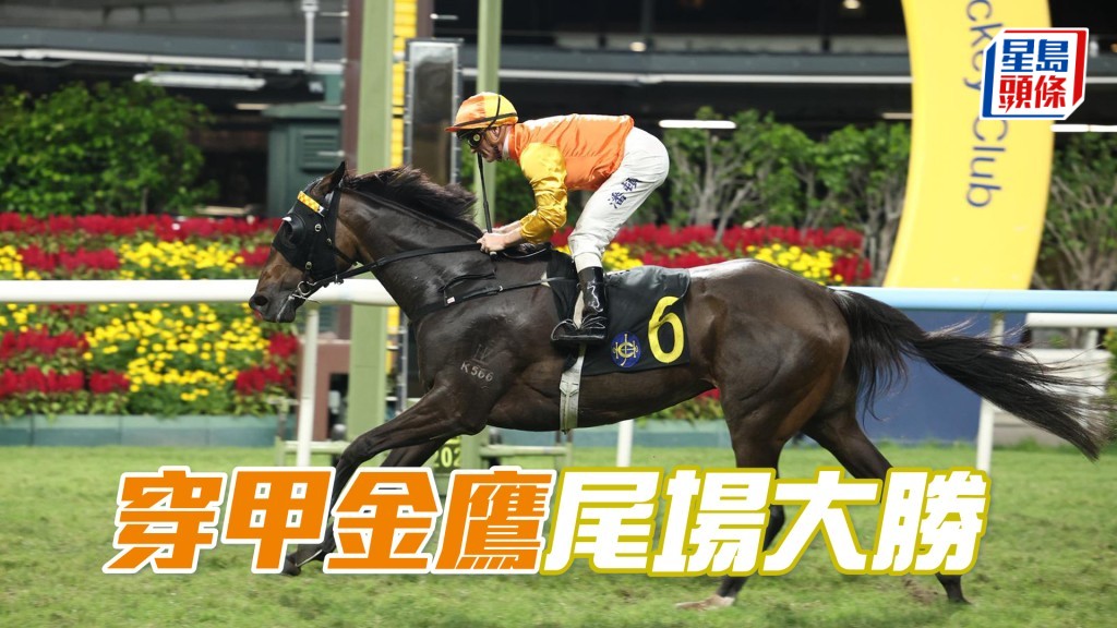 「穿甲金鹰」尾场大胜