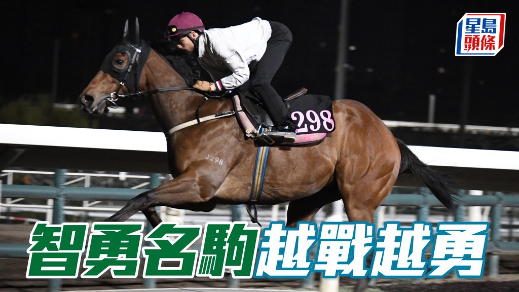「智勇名駒」馬身收得好靚，出腳力度充足，暗火湧現，越戰越勇。