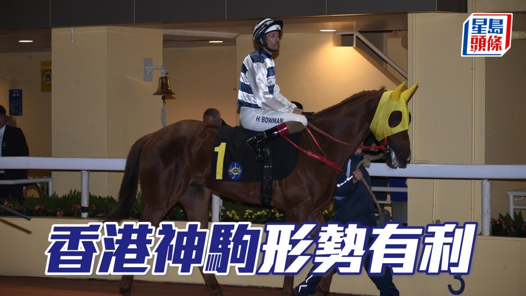 「香港神駒」近期表現穩定,今場有不少快馬,形勢非常有利。