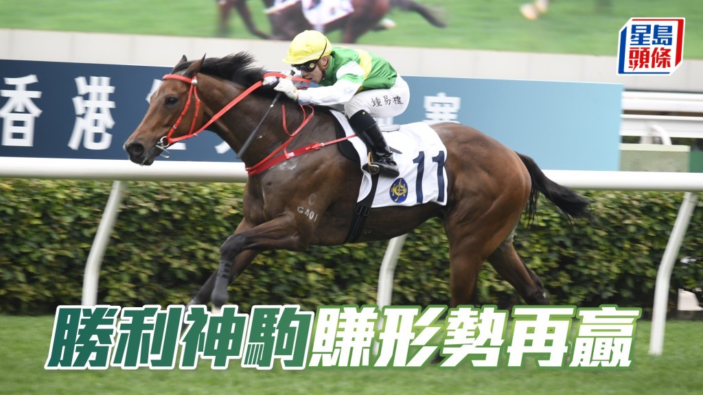 「勝利神駒」今仗形勢與735場次相似，同場並無明顯前置型馬，當可率先衝過終點。