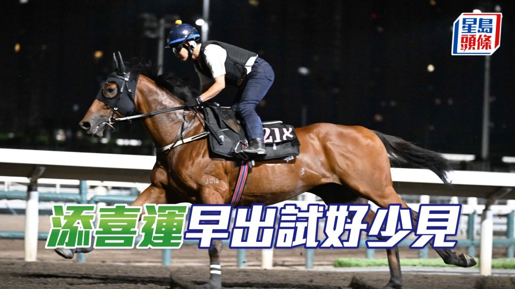 「添喜運」今朝四點五十五分已出跳，比起其他鄭廄馬寧寧舍舍早露面。