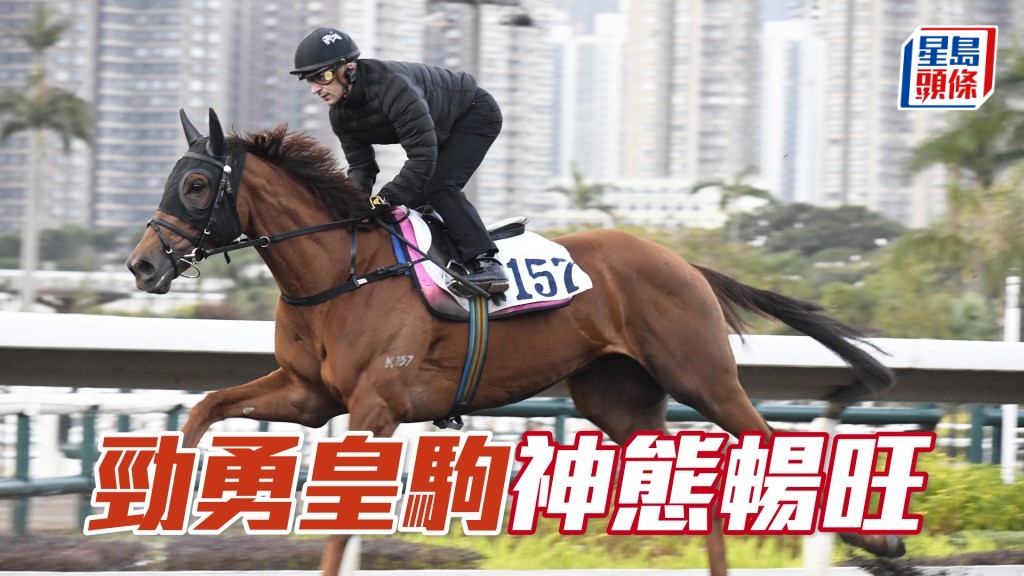 「勁勇皇駒」展步流暢馬身扎實，未見低落。