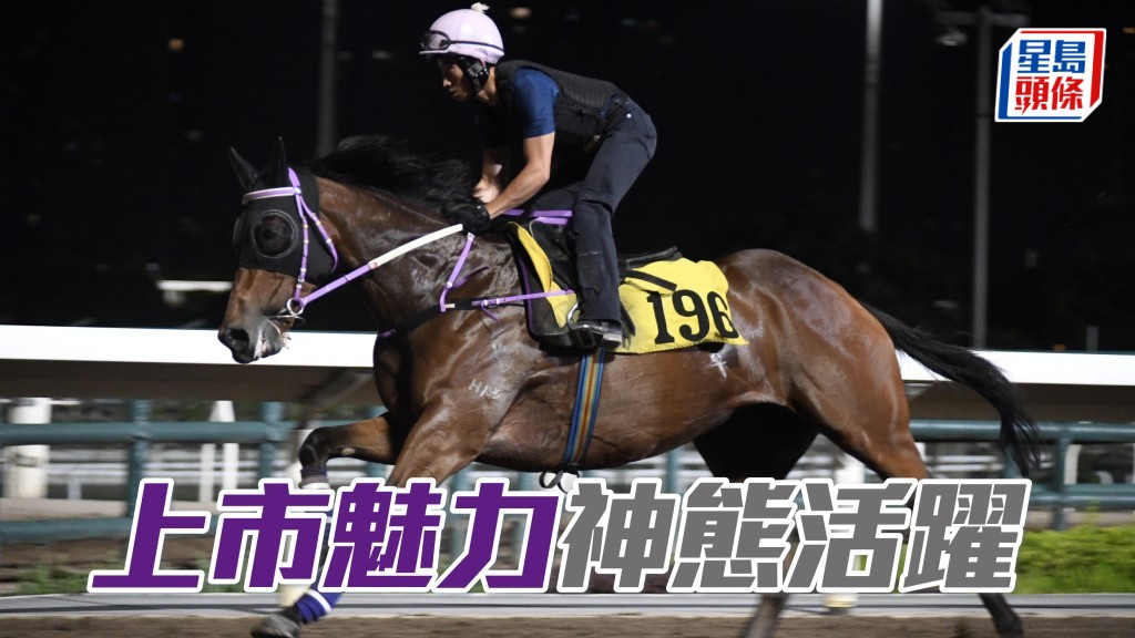 「上市魅力」神态活跃