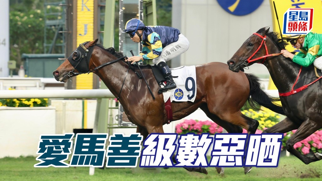 「愛馬善」計實力全組最惡，而且排檔靚，若臨場情緒對辦值得加注。