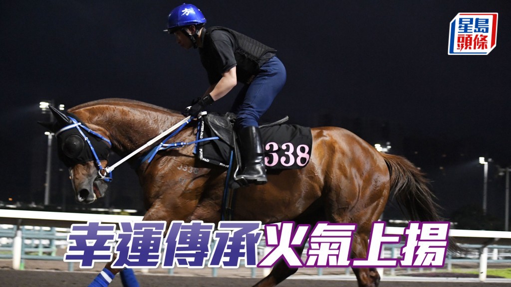 「幸運傳承」神態活躍火氣上揚，狀態不斷轉好。