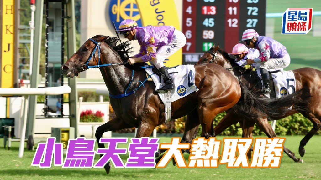 「小鳥天堂」大熱取勝