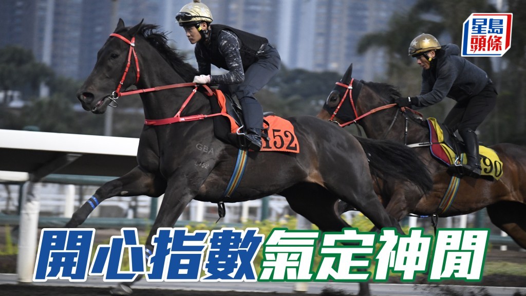 「開心指數」(外) 近日試來氣定神閒，勇熟程度更進一步，外觀更極之省鏡，身壯色潤。