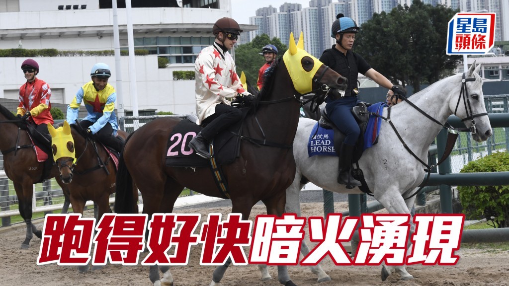  「跑得好快」躍躍欲試，神態生猛呈現朝氣。