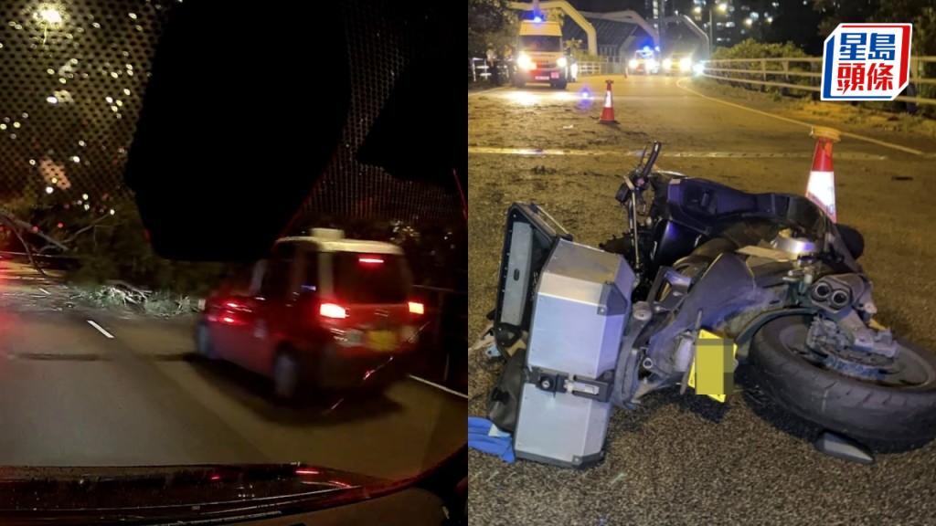 大埔鐵騎士撞塌樹亡｜車Cam揭10分鐘前亦有的士撞冧樹 路政署料天雨陣風致腐爛位斷裂 