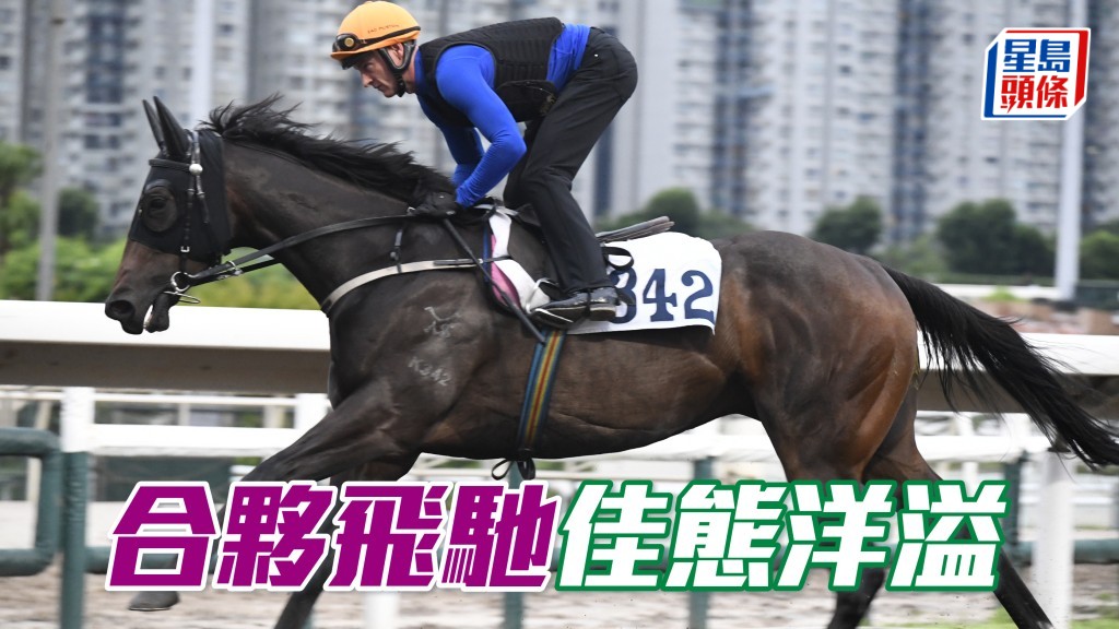 「合夥飛馳」佳態洋溢