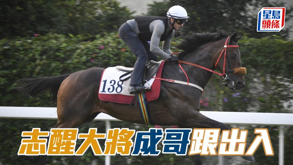 沙田早晨│「志醒大将」成哥跟出入
