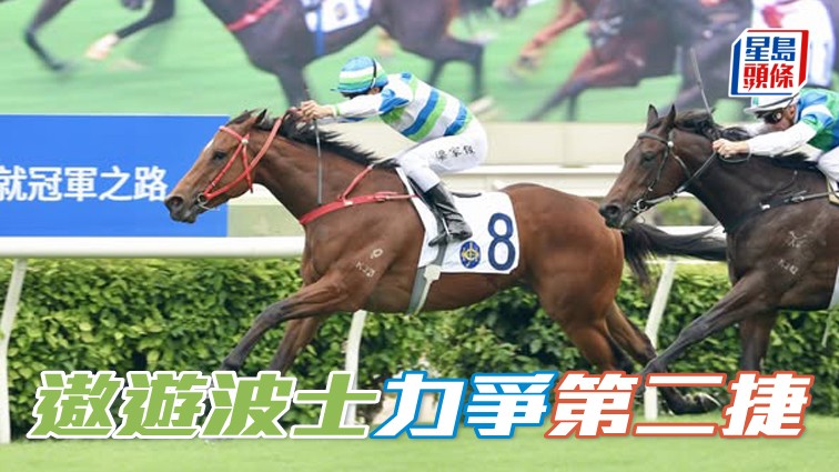 「遨遊波士」(圖) 前一場初出即勝,上場再出沿途際遇欠佳,敗可原諒,今場捲土重來,力求收復失地。