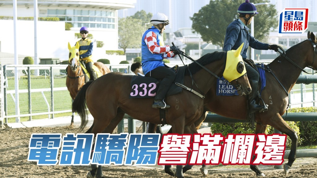 「電訊驕陽」步順輕巧神態暢旺，暗火展現外觀又靚。