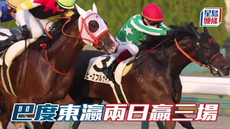 巴度 (圖) 暫時於東瀛累積三場頭馬，其太太Eva一連兩日入馬場支持老公，並分享老公贏馬的喜悅，力撐老公，認真Sweet呢！相片來源： 巴度太太Eva ig，JRA賽事截圖