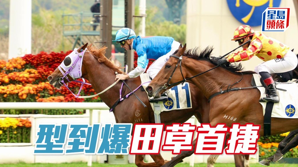 「型到爆」田草首捷