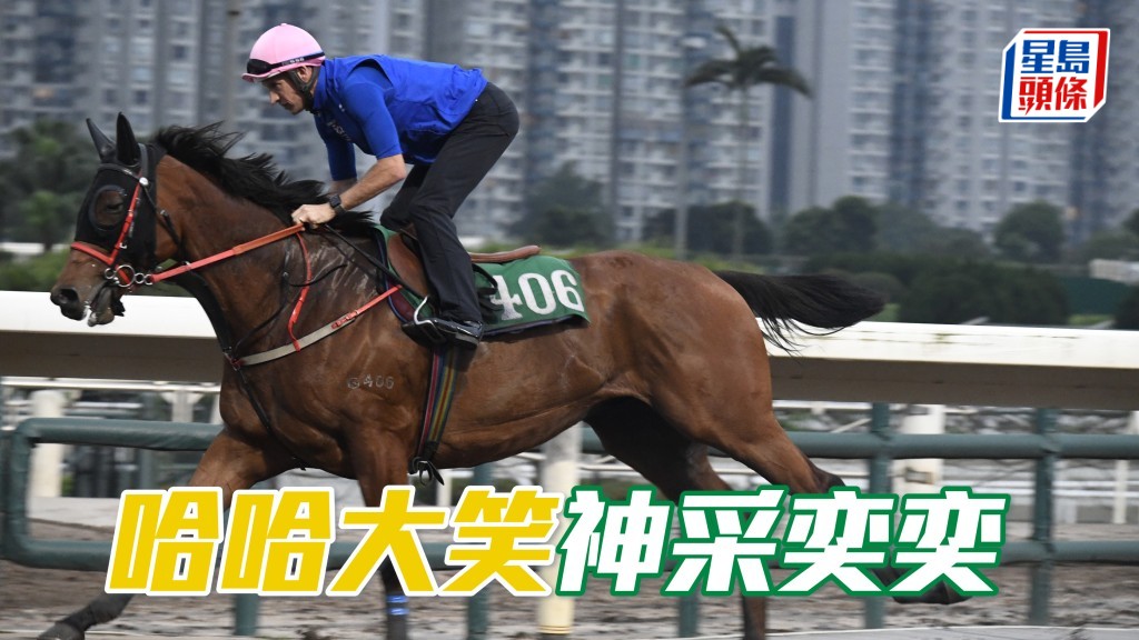 「哈哈大笑」神采奕奕