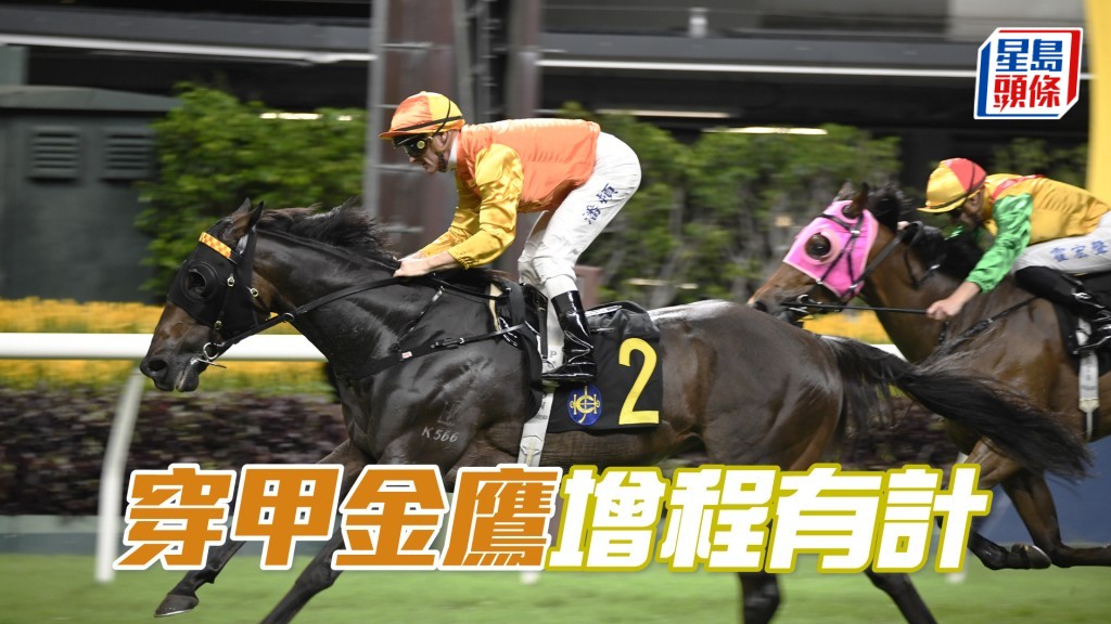 「穿甲金鷹」現況當銳，千八也可扳到。