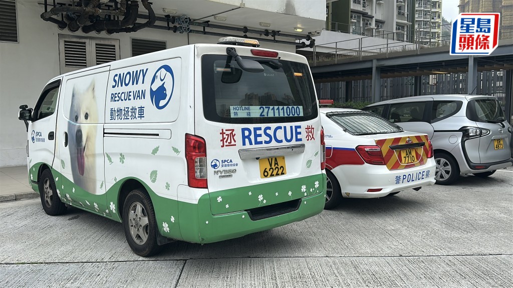 警員及愛協人員均到場了解墮貓事件。劉漢權攝
