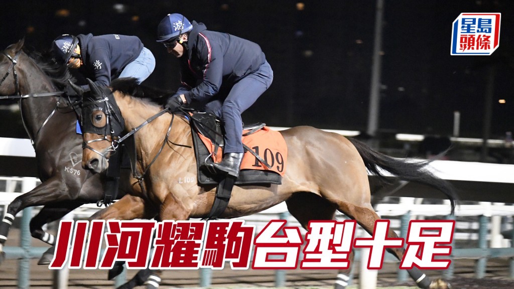 「川河耀驹」精神奕奕饶具朝气，马身一早收靓。