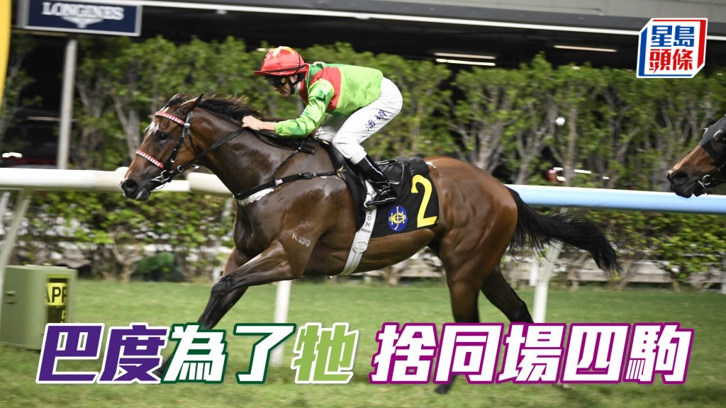 周三晚巴度為「飛輪霸」(圖) 主轡，故捨棄同場「椒椒醒」、「三軍勇將」、「魅力寶駒」及「時尚風趣」等四駒。