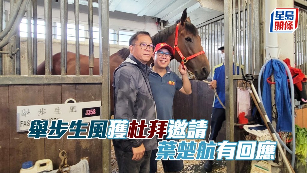 「举步生风」将出争周日沙田第十场一班千二米赛事。