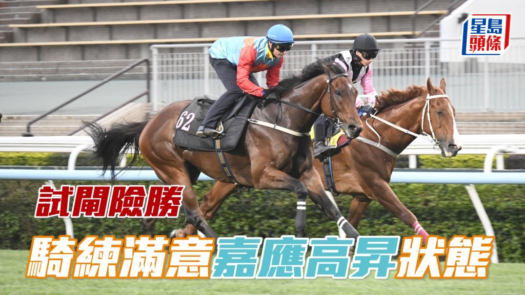 全球一哥「嘉應高昇」今早試閘險勝 騎練滿意狀態