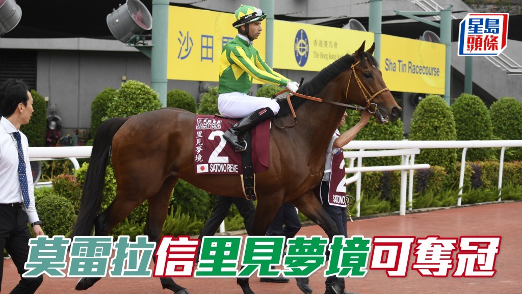 短途馬錦標「里見夢境」力爭在莫雷拉胯下再勝一級賽。