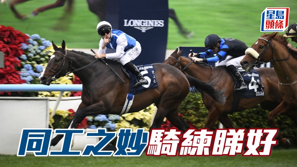  马场浮世绘｜「同工之妙」练骑睇好