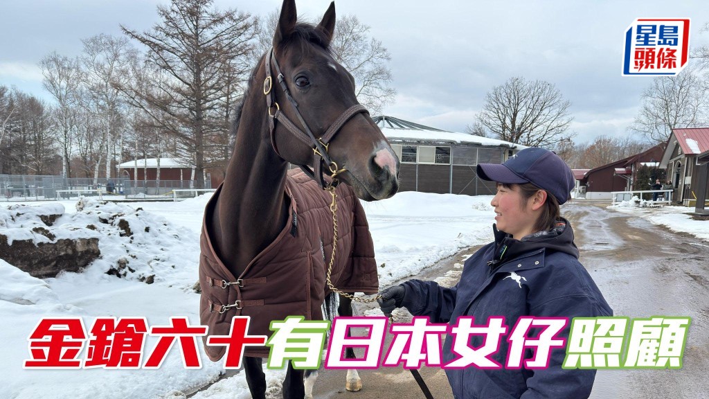 「金鎗六十」已適應環境，還有一位靚靚日本女仔悉心照顧。