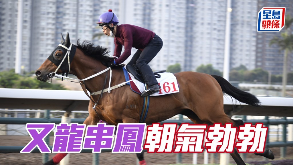 「又龍串鳳」步挺貫注力足，仍在勇境。
