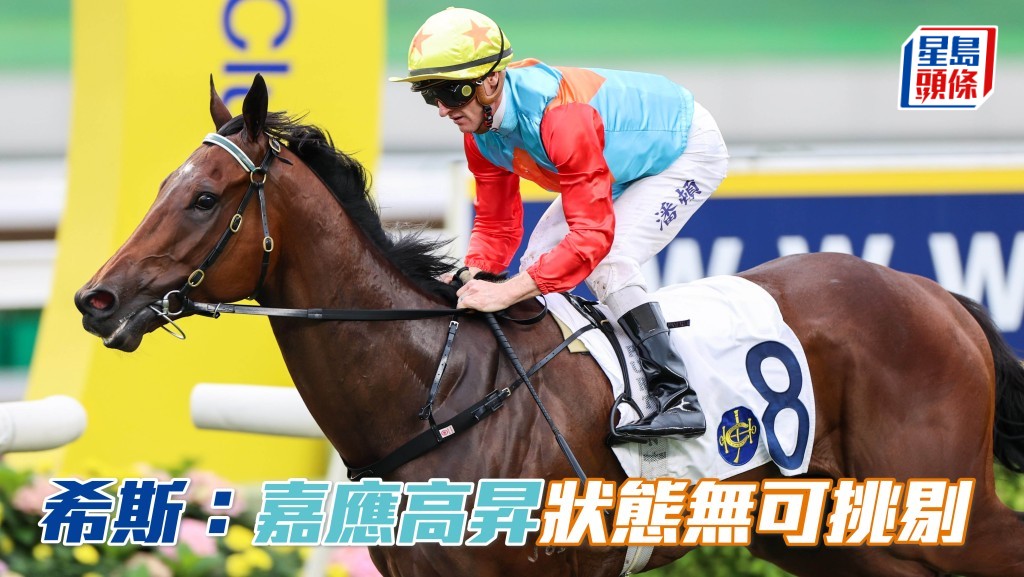 「嘉應高昇」(圖) 備戰浪琴香港國際賽事作最後快操，表現讓大衛希斯大表滿意。