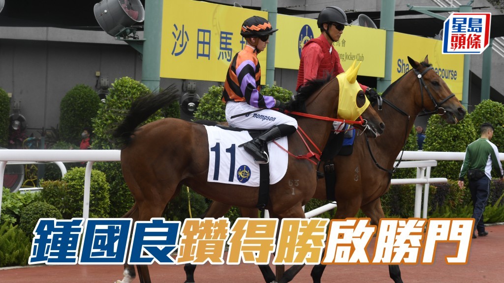鍾國良今次引入生力軍「鑽得勝」(圖),由葉楚航訓練,周末力爭好成績。