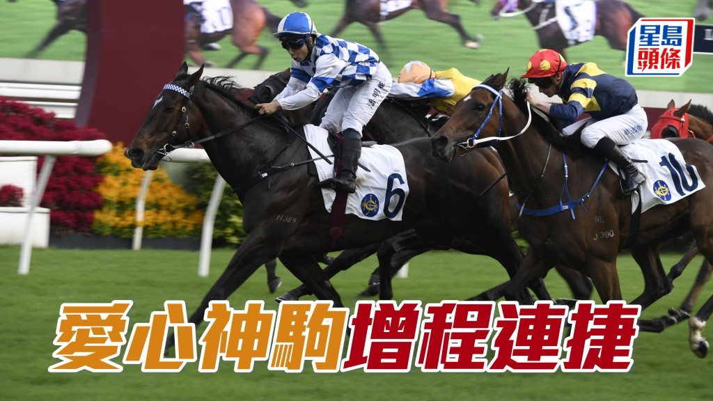 「愛心神駒」增程連捷