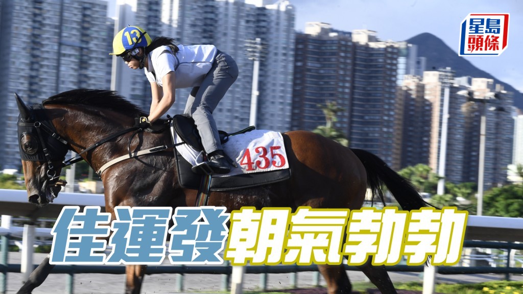 「佳運發」扣住走神情專注，跨步爽朗勁度夠。