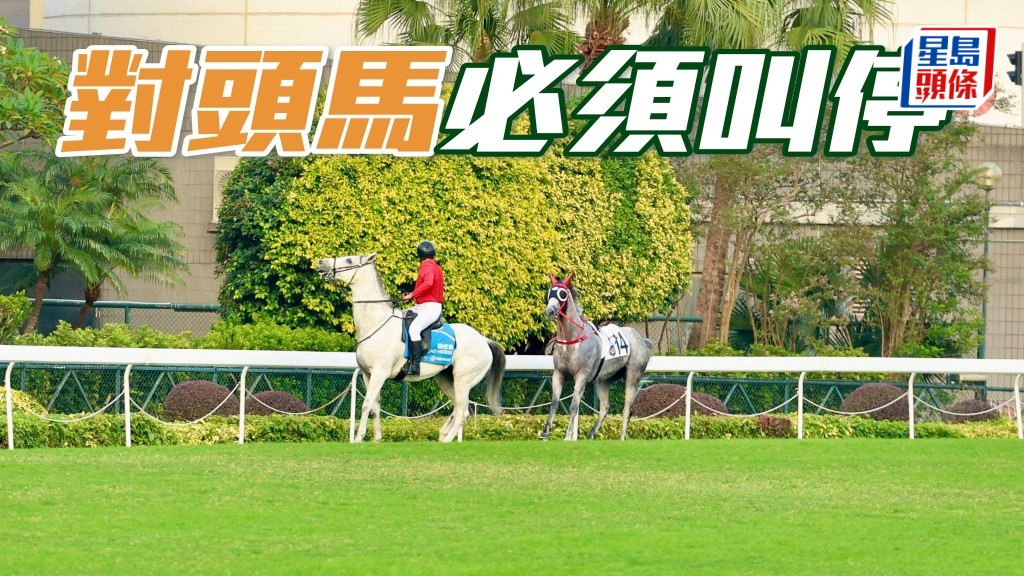 上周六沙田第八場賽事被取消，極為合理，因為其中一駒出閘拋下騎師後，空馬不是向前，而是倒後跑，即有機會與衝刺馬匹迎頭撞，就算是空馬是於終點後，戰馬也可能收慢不及也。