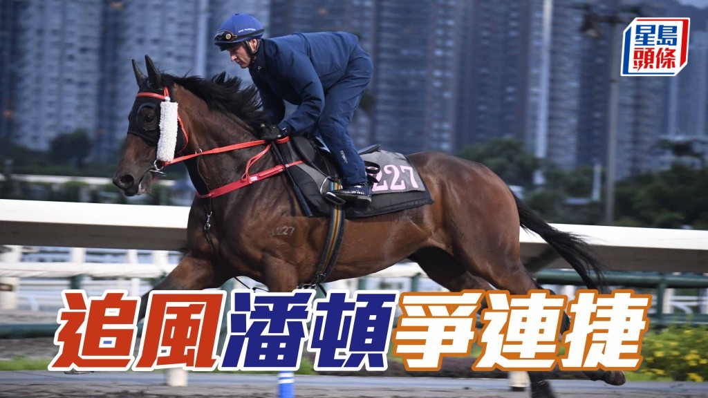 潘頓為「追風」爭連捷