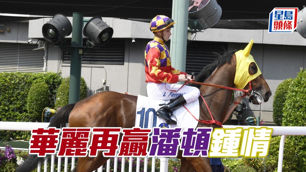「華麗再贏」復課有進步，排五檔應可輕易守靚位，有贏面。
