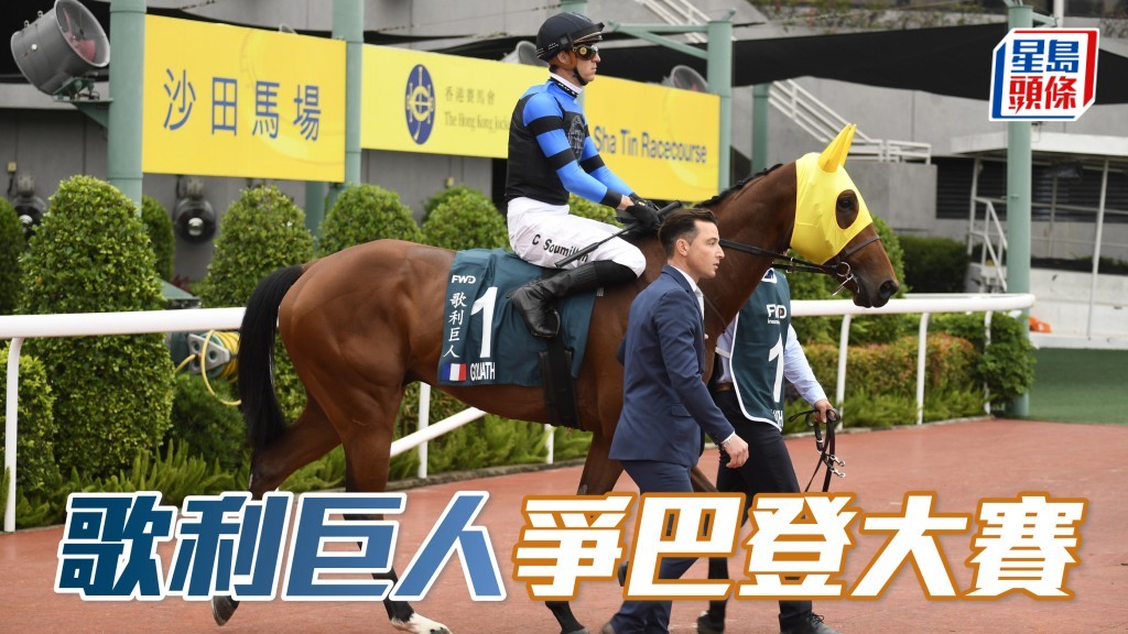 本周日德國舉行的巴登大賽暫時有九駒列陣,當中四駒乃德國以外服役的賽駒,計為「歌利巨人」(圖)、「桀驁之戀」、「譽滿杜拜」和「旋律套曲」。
