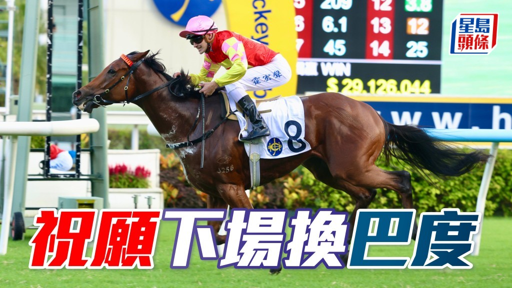 廖康銘昨日贏完「白鷺金剛」及「勁沙塵」起孖後受訪時透露，「祝願」(圖) 下場沙田錦標會易配巴度上陣。