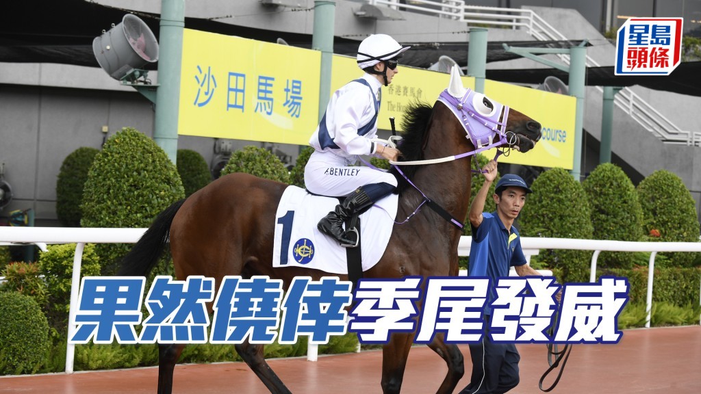 「果然僥倖」狀態逐漸穩定，今仗有望重新贏馬。