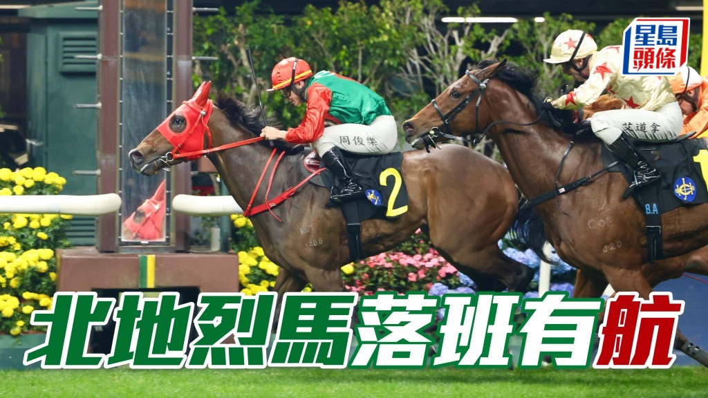 「北地烈马」(图) 潜力未尽而重返四班争功，大有胜算。