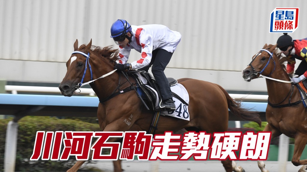 內圈捕影│「川河石駒」走勢硬朗