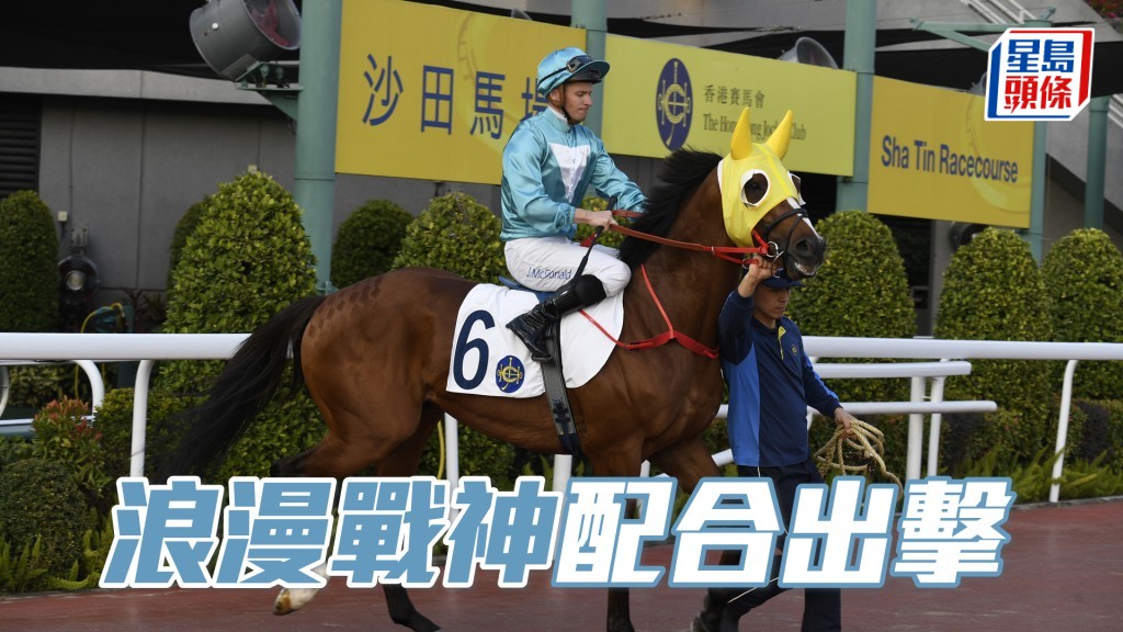 「浪漫战神」上仗蚀步速都跑第六，尽显韧力十足。