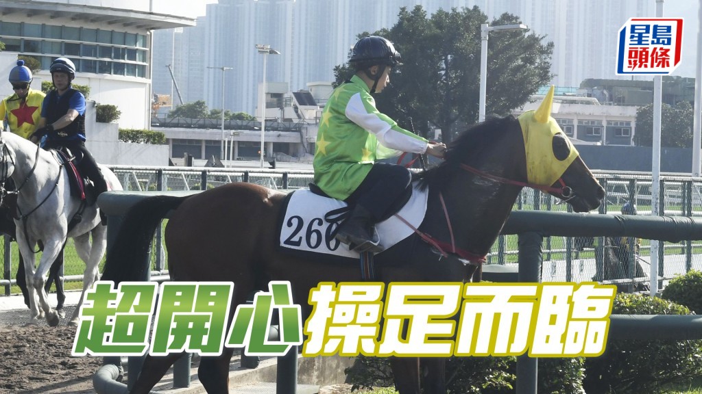 「超開心」按住順走神采奕奕，馬身靚毛色油潤。
