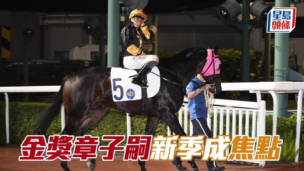 「焦點」近仗走勢已較前略為進步,看看新季能否贏馬打破悶局。