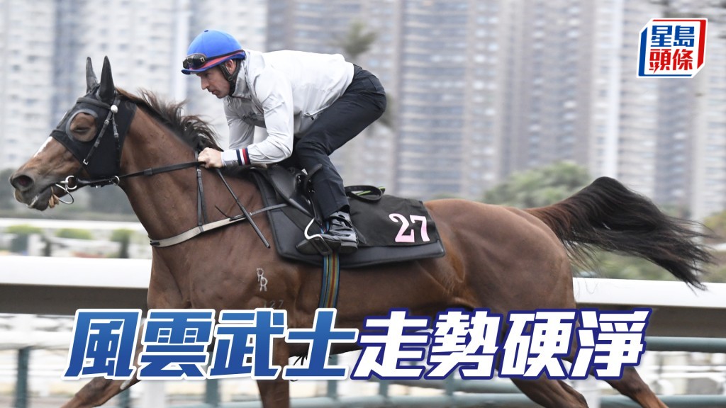 「風雲武士」四蹄盡展彈力十足，弗到震。