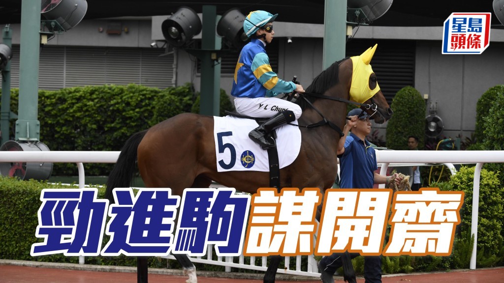 「進駒」系女馬主蔡黃玲玲名下的「勁進駒」(圖)，今次再戰同程，有力跑得更接近。
