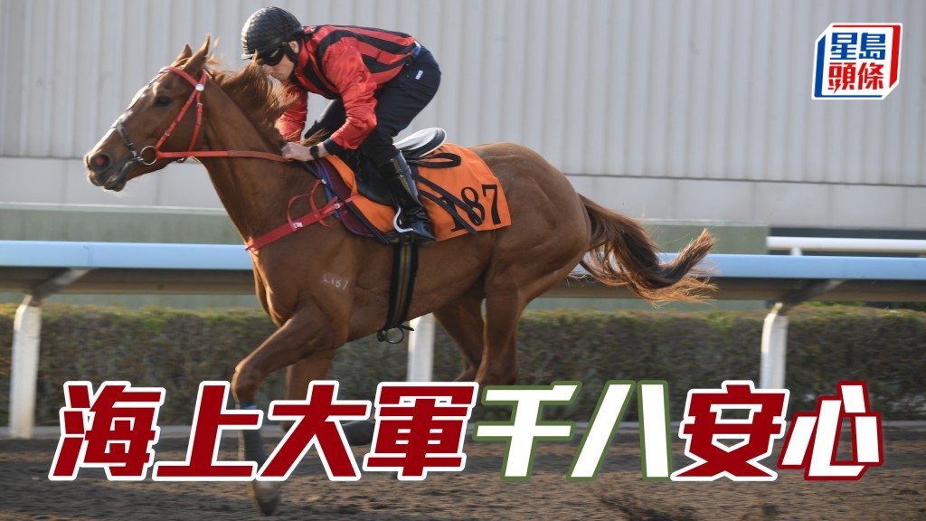 文傑訪問│「海上大軍」千八「安」心
