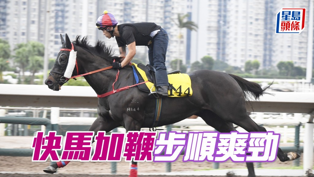 「快馬加鞭」暗火展現身又靚，操足態勇不遜勝時。