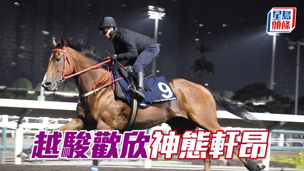 「越駿歡欣」跨步開揚力度充裕，靚仔惡馬長期省鏡。